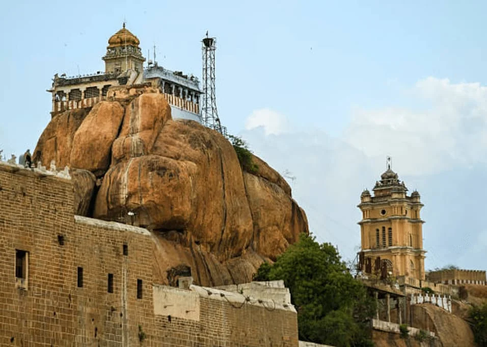 Wholesale products and delivery services in Tiruchirappalli