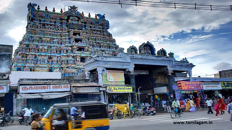 Wholesale products and delivery services in Tirunelveli